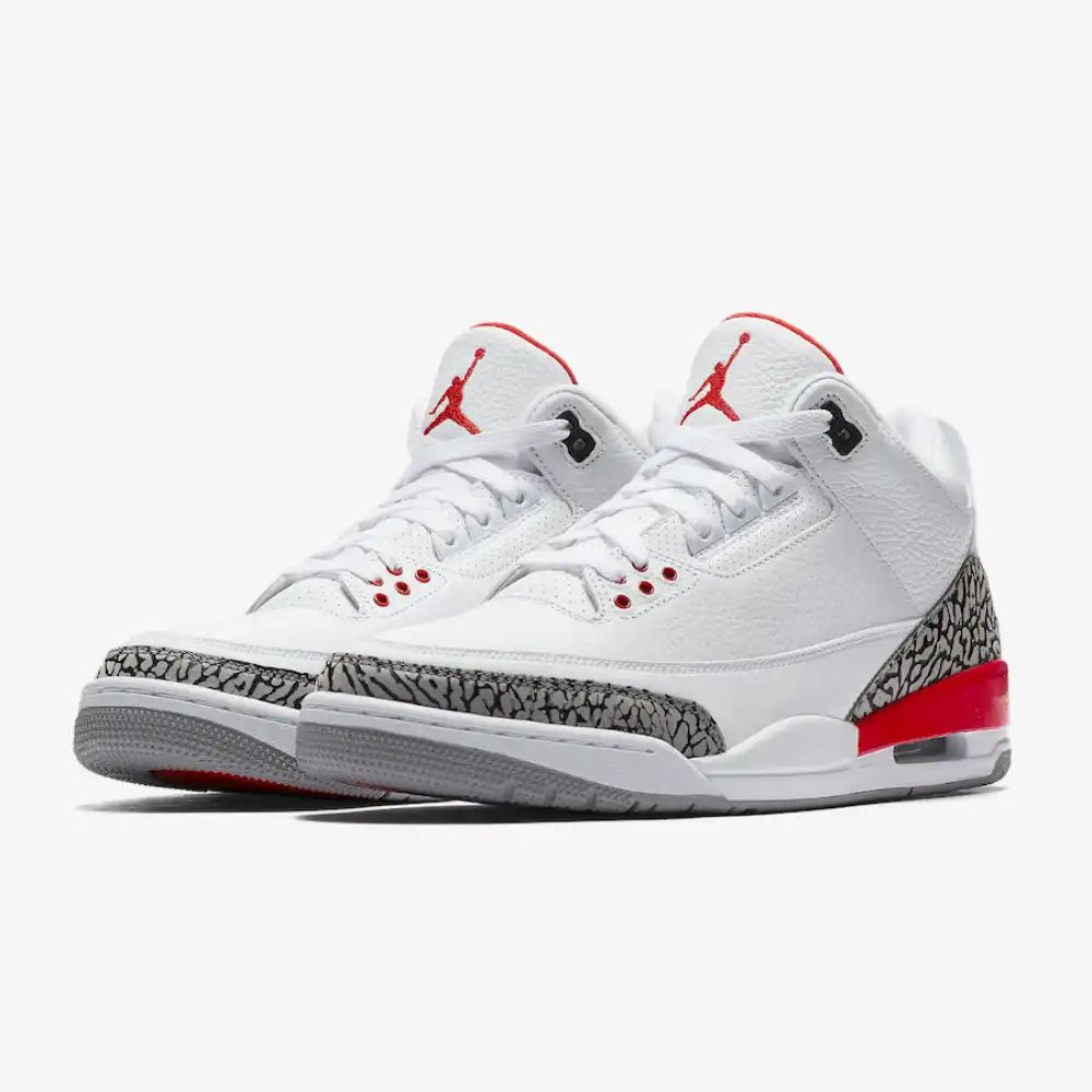 Air Jordan 3 Retro Haal Of Fame